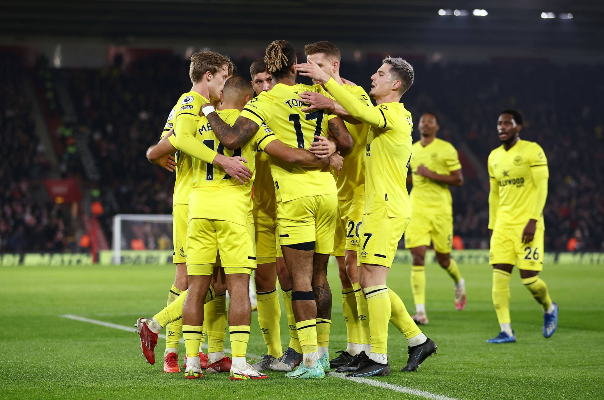 不仅展示了 不仅展示了